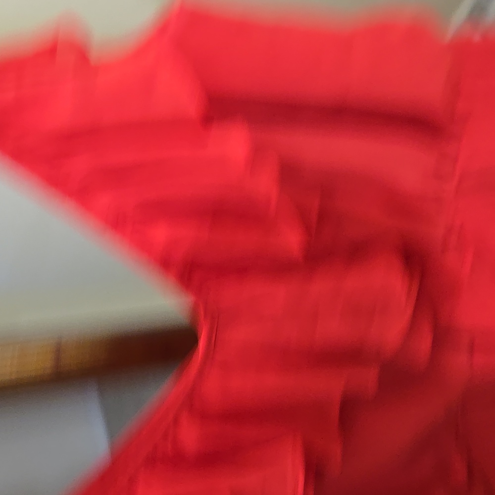 BCBGeneration Red Ruffle Mini Dress - Picture 4 of 5